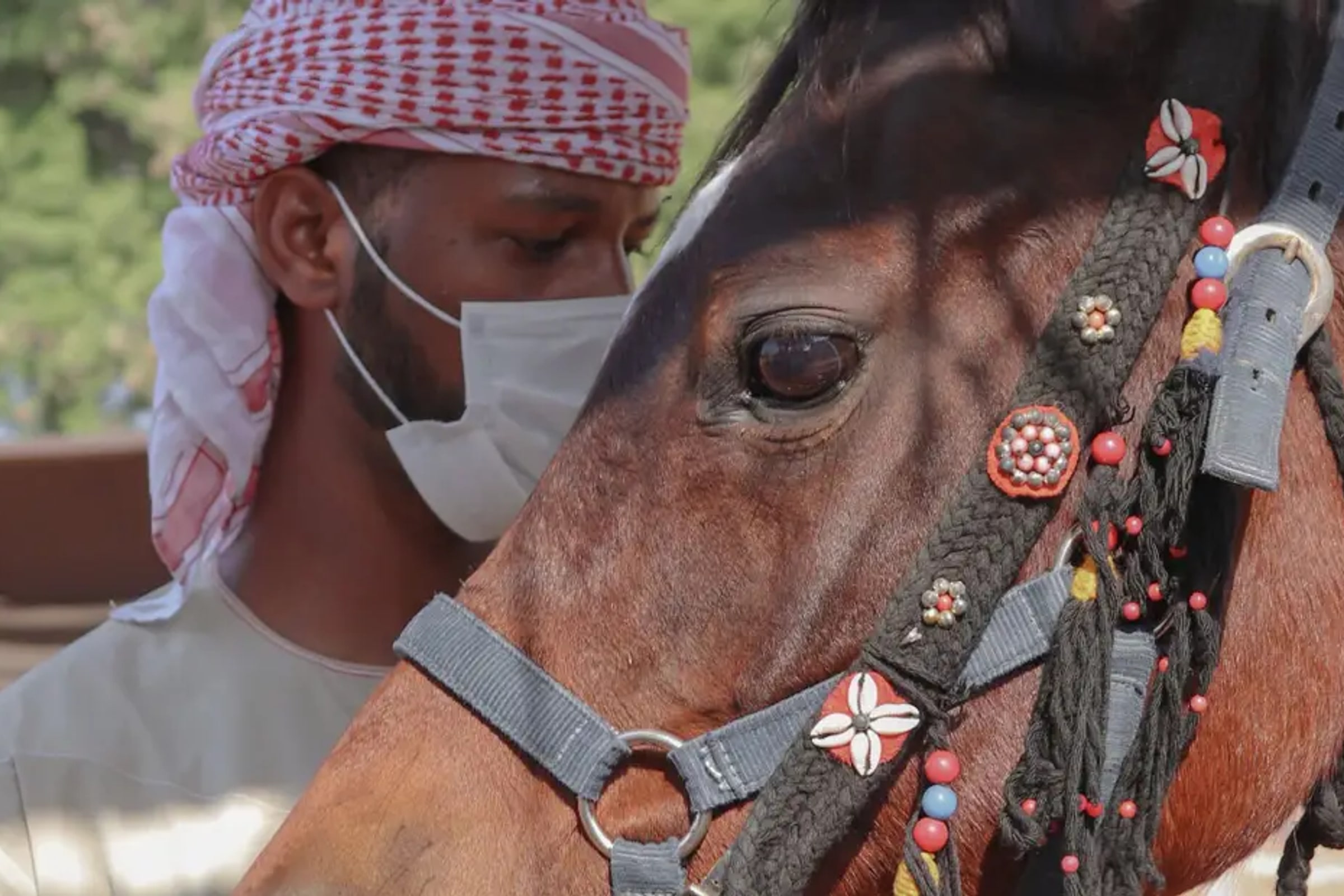 Abu Dhabi Arabian Jewel city tour